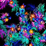Colour:F