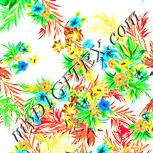 Colour:K
