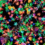 Colour:F