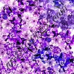 Colour:D