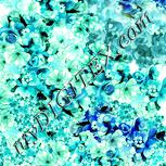 Colour:K