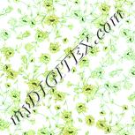 Colour:K