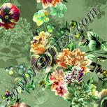 Colour:K