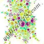 Colour:K