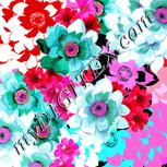 Colour:B