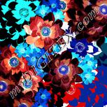 Colour:F