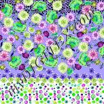 Colour:C