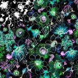 Colour:F