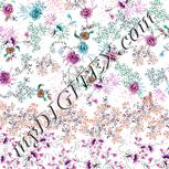 Colour:A