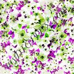 Colour:C