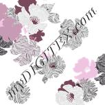 Colour:B
