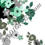 Colour:B