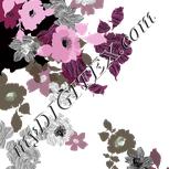Colour:C
