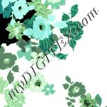 Colour:K