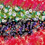 Colour:A