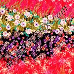 Colour:J