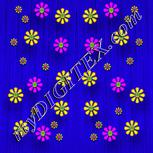 Colour:B