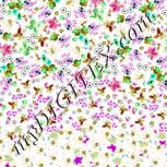 Colour:C