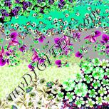 Colour:D