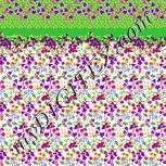 Colour:B