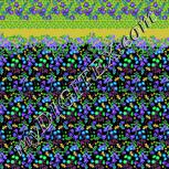 Colour:F