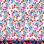 Colour:B