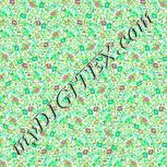 Colour:K