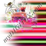 Colour:B
