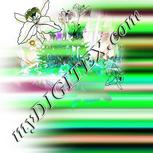 Colour:C