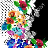 Colour:A