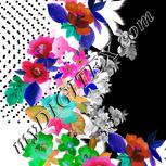Colour:B