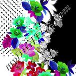 Colour:C