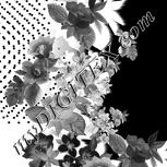 Colour:E