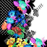 Colour:F