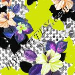 Colour:B