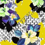 Colour:C