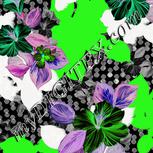 Colour:F