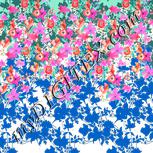 Colour:B