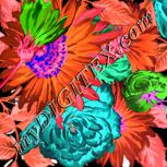 Colour:F