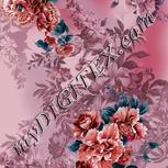 Colour:B