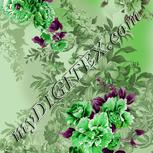 Colour:D