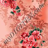 Colour:J