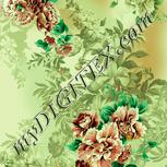 Colour:K