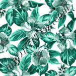 Colour:A