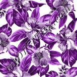Colour:C