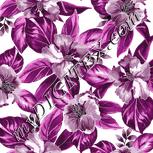 Colour:D