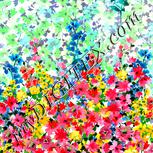 Colour:A