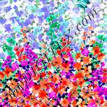 Colour:B