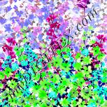 Colour:C