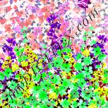 Colour:D